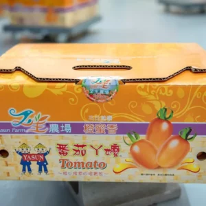 橙蜜香10公斤一箱