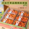 番茄｜單品種｜禮盒精裝｜6台斤