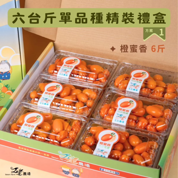 番茄｜單品種｜禮盒精裝｜6台斤