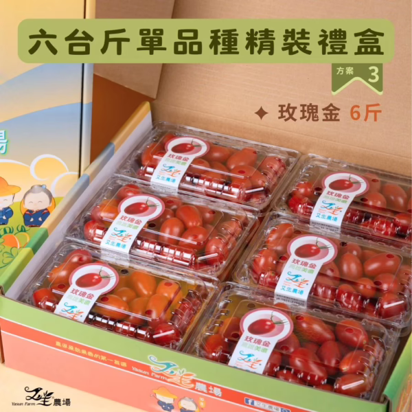 番茄｜單品種｜禮盒精裝｜6台斤