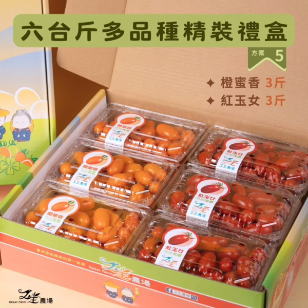 六多橙玉 番茄|多品種|禮盒精裝|6台斤