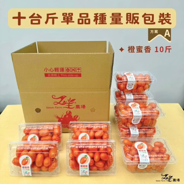 番茄｜單品種｜量販包裝｜10台斤