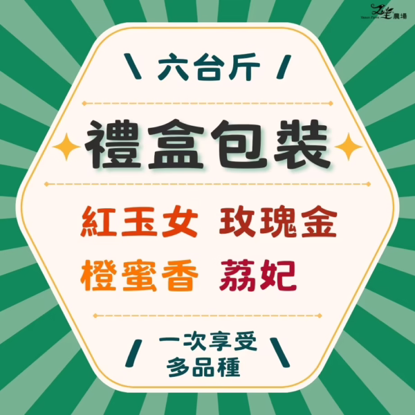 番茄｜多品種｜禮盒精裝｜6台斤