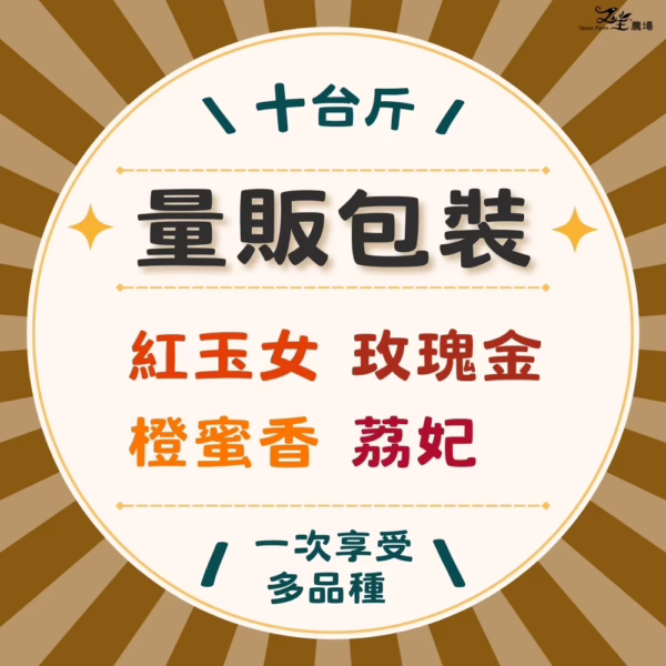 26-多十 番茄|多品種|量販包裝|10台斤