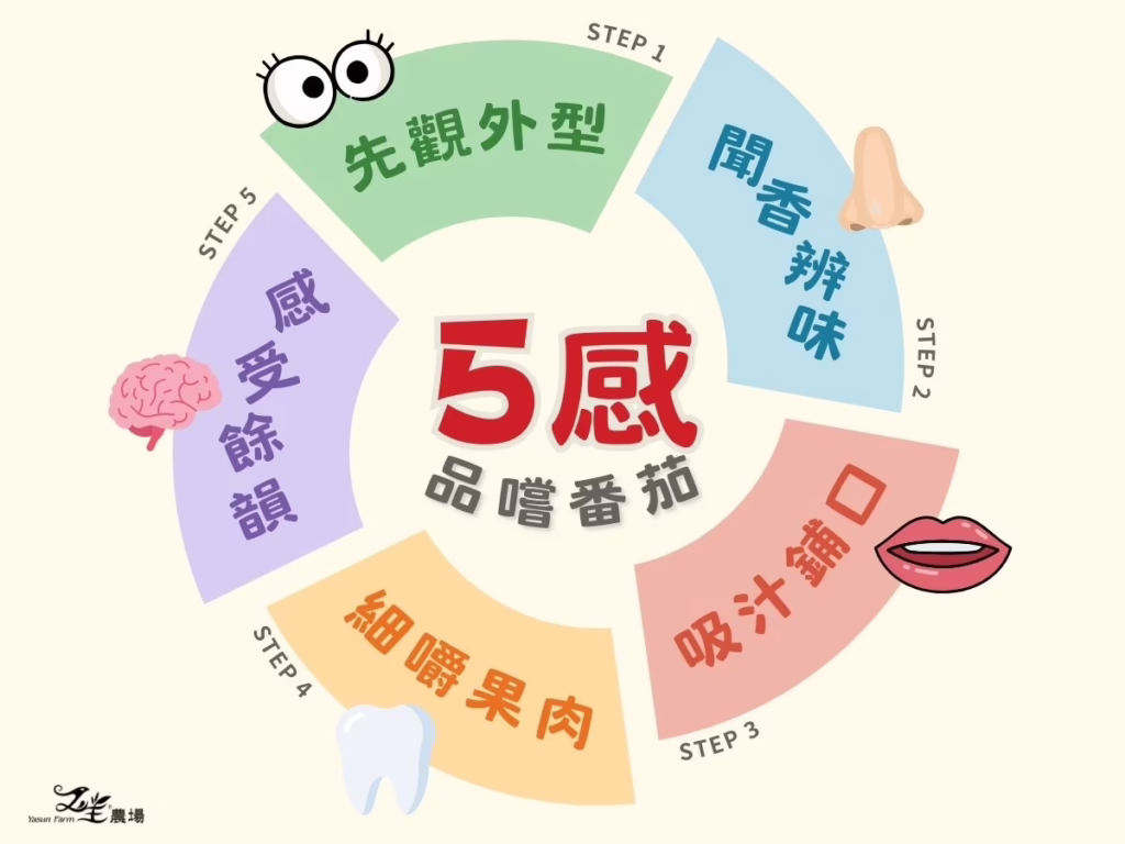 五感品嚐番茄的正確方式