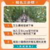 體驗｜破解番茄密碼：食農偵探出動